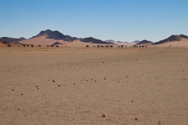 istock beautiful landscape view in Namibia - Africa 1304559803