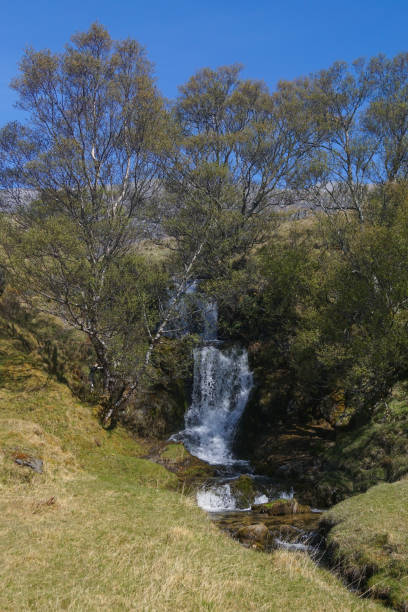 una cascata e un ruscello vicino a loch assynt e al castello di ardvreck - loch assynt immagine foto e immagini stock