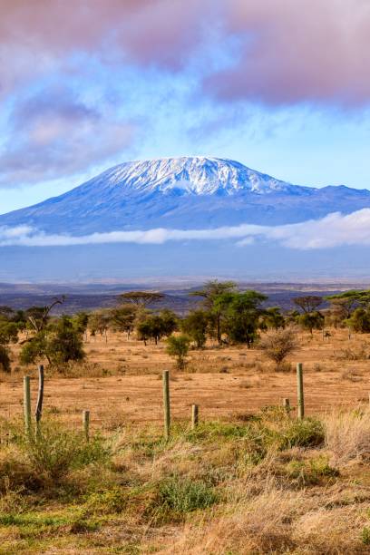istock view of kilimandjaro mount 1304564128