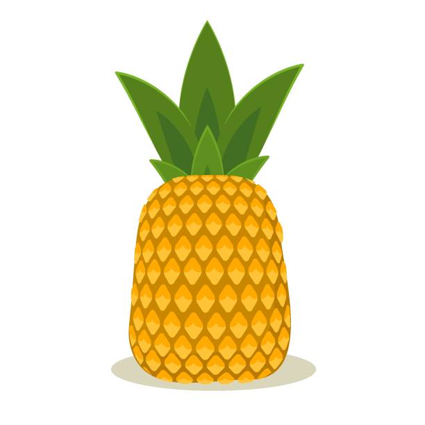 vector illustration of pineapple, isolated on a white background vector illustration of pineapple, isolated on a white background ananas stock illustrations