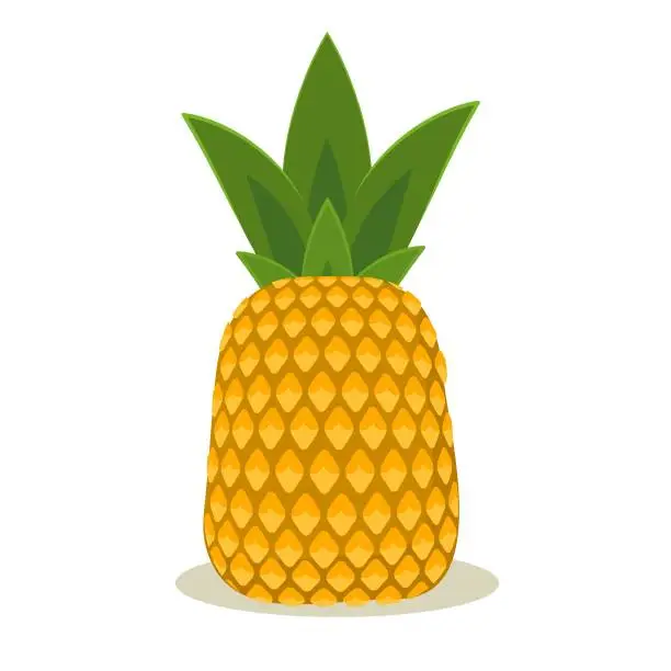 Vector illustration of vector illustration of pineapple, isolated on a white background