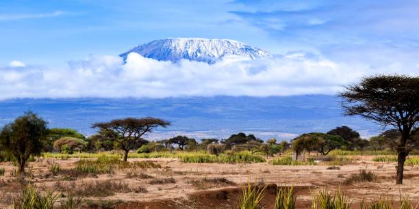 istock landscape with kilimandjaro mount 1304564375