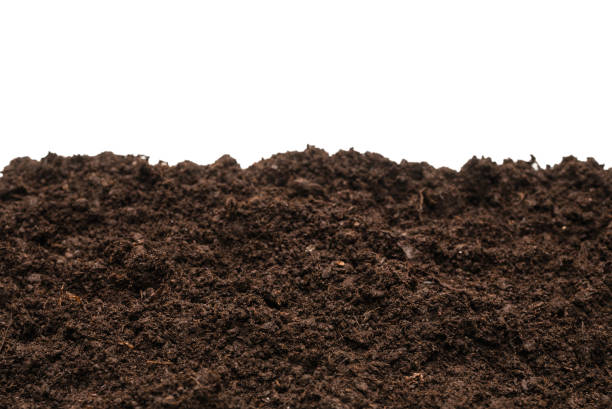 istock Black land for plant. 1304566912