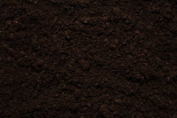 istock Black land for plant background. 1304566930