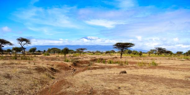 istock landscape with kilimandjaro mount 1304567250