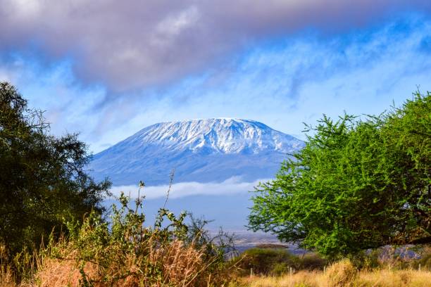 istock view of kilimandjaro mount 1304567260