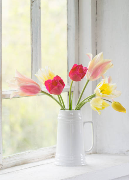 istock beautiful tulips in vase on white windowsill 1304569190