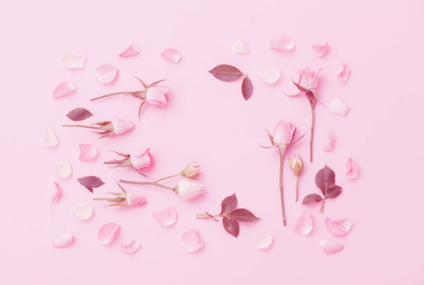 istock pink and white flowers on pink  paper  background 1304569199