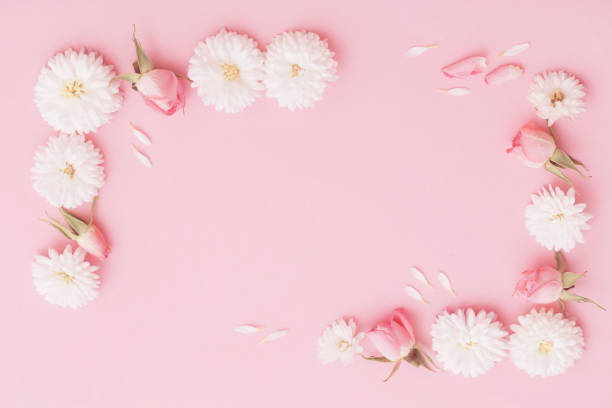 istock pink and white flowers on pink paper background 1304569210