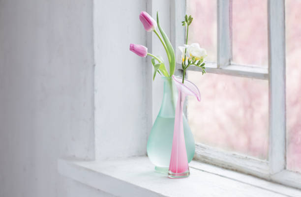 istock pink tulips on old white windowsill 1304570943