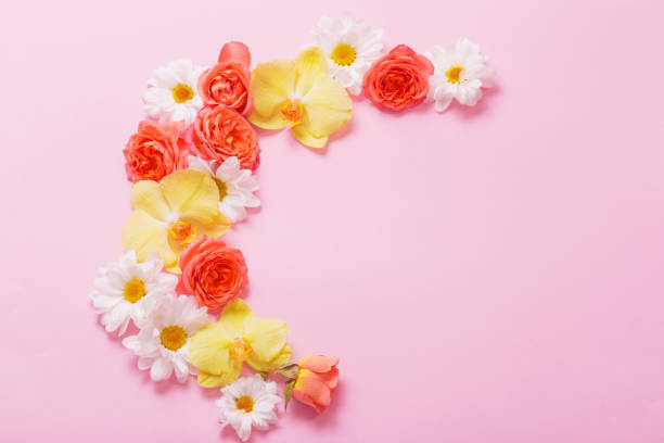 istock beautiful floral pattern on pink paper background 1304570956