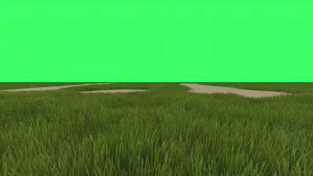 ilustración 3d - campo verde en la pantalla verde en el fondo - fondo de pantalla hd de primavera fotografías e imágenes de stock