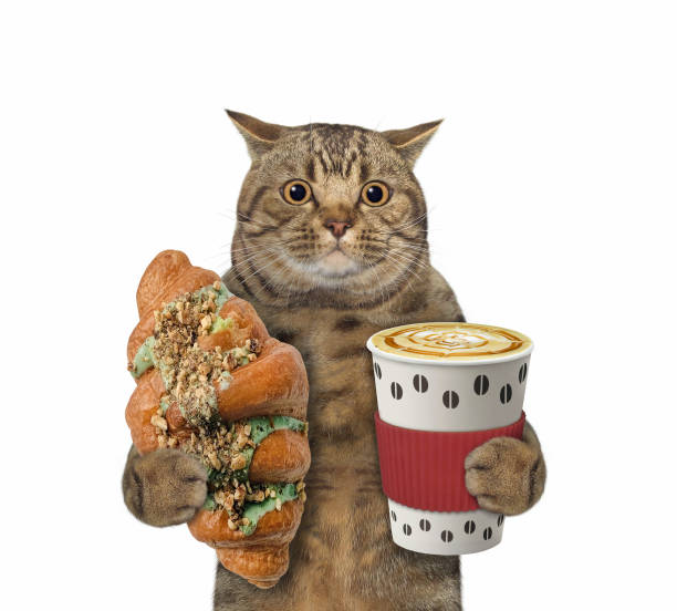 istock Cat with pistachio croissant and coffee 1304572538