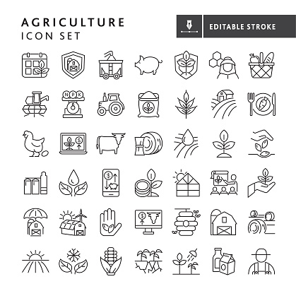 Vector illustration of a big set of 42 farm and agriculture icon concepts thin line style icons. Includes farming schedule, farm protection, harvesting, livestock, bee keeping, farm to table, cash crop prices, irrigation, solar power, growth, planting, seeding concepts, crops dairy farming and farm worker, on white background with no white box below. Fully editable for easy editing. Simple set that includes vector eps and high resolution jpg in download.