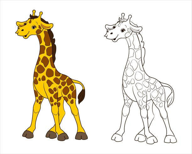 A long-necked spotted giraffe. Coloring book for children black and white. Vector illustration in cartoon style, isolated line art A long-necked spotted giraffe. Coloring book for children black and white. Vector illustration in cartoon style, isolated line art giraffe calf stock illustrations
