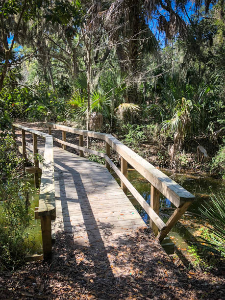 istock Beautiful and natural Floridian Park 1304580122