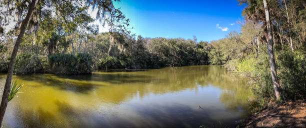 istock Beautiful and natural Floridian Park 1304581084