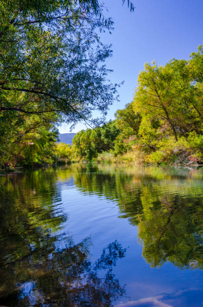 istock The Verde River in Camp Verde, Arizona 1304581993