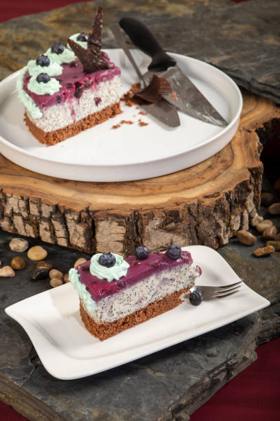 Cheesecake with poppy seeds and blueberries