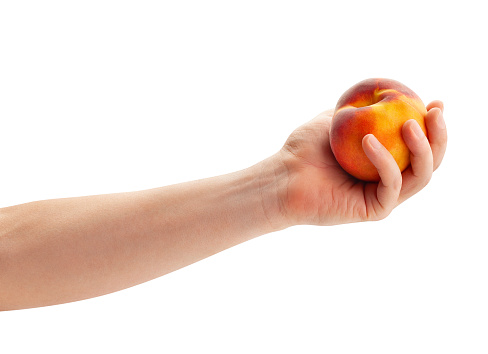 peach in hand path isolated on white