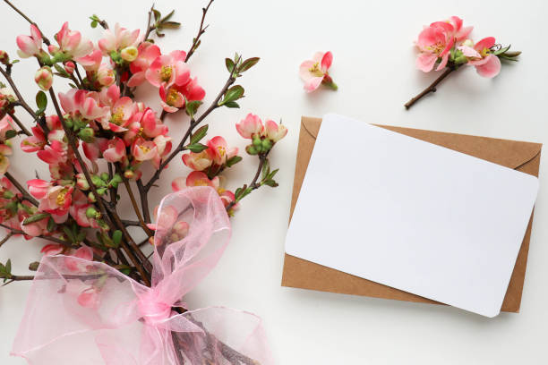 istock spring flowers. flowering branches on a white background 1304583324