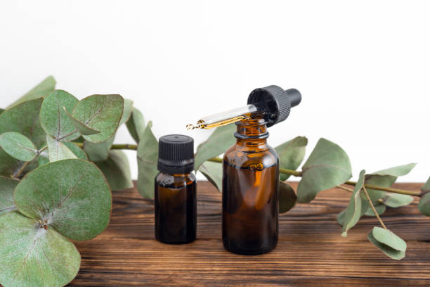 istock Isolated white mockup glass bottle Essential oil or serum cosmetics with eucalyptus branches on wood brown table with copy space top view. Brown glass cosmetic bottle. 1304585344