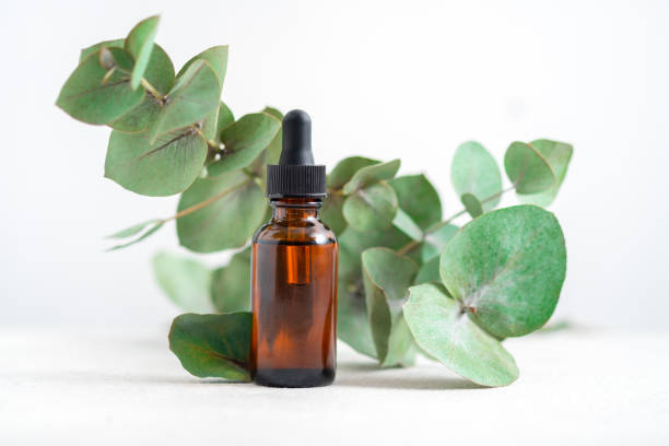 istock mockup Essential oil or serum cosmetics with eucalyptus branches on textured white background with copy space top view. Brown glass cosmetic bottle. 1304585353