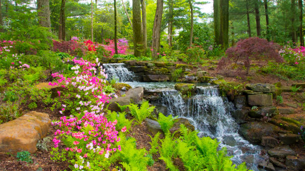 wasserfall-frühlingsblumen in einem wald szene-azalea walk reserve-gibson county indiana - waterfall stream forest spring stock-fotos und bilder