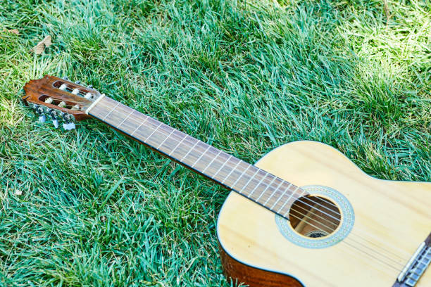 istock Guitar in the forest Take a guitar to the forest. 1304585437