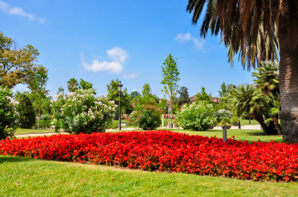 istock Ciutadella park landscape in Barcelona, Spain 1304585774