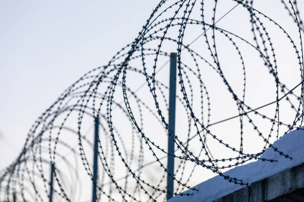 istock Sharp pointed razor wire barbed fence coiled on top of wall protects from prisoners and criminals in prison and from entering the restricted area or secure facility. Safety and security concept. 1304586157