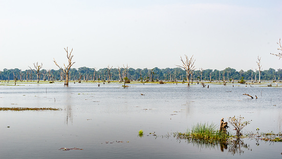 Angkor Wat, Cambodia - January 21, 2020: Neak Pean Buddhist temple was built by King Jayavarman VII on an artificial island in the middle of the North Baray (ancient large reservoir).