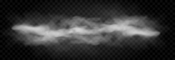 wektorowa chmura dymu lub mgły. mgła lub chmura na odizolowanym przezroczystym tle. dym, mgła, chmura png. - przezroczyste tło stock illustrations