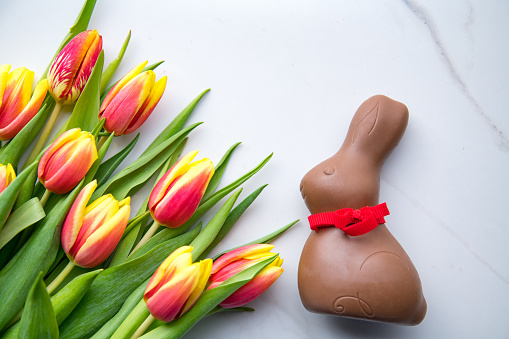 Top down view on delicious chocolate Easter bunny next to bouquet of yellow red tulips. Spring Easter concept.
