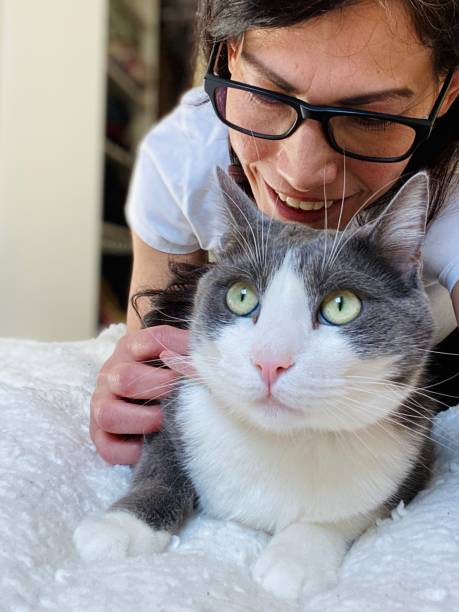 istock Woman enjoying sunlight with cat on the bed 1304588608