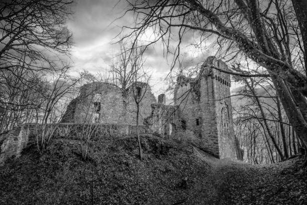 istock Old historic castle ruin with dramatic sky in the background - black and white 1304591079