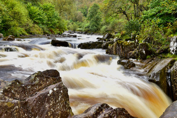 istock Birks of Aberfeldy 1304595002