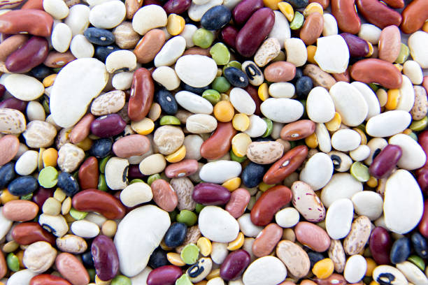 Assorted dried beans stock photo