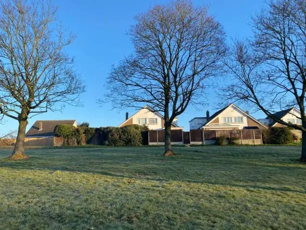 Photo of Sunrise hitting houses with long threes casted shadow