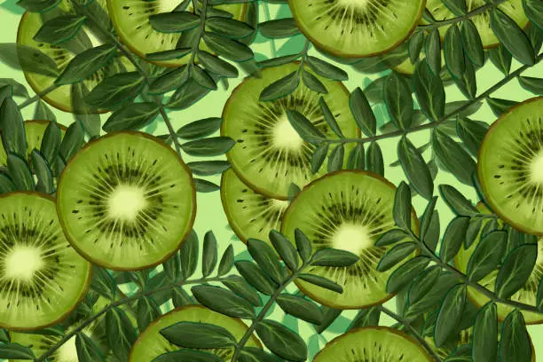 Vector illustration of Kiwi pattern and tropical plant