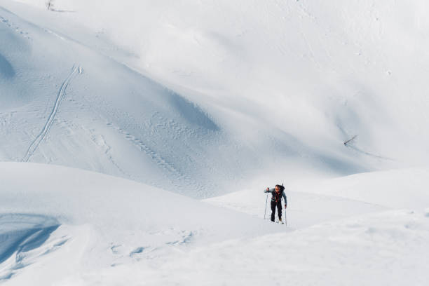 istock Ski touring in the eternal ice 1304603004