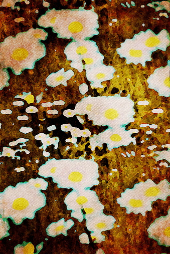 This is my Photographic Image of Daisies in a Beautifiul Floral Abstract Design Watercolour Effect. Because sometimes you might want a more illustrative image for an organic look.