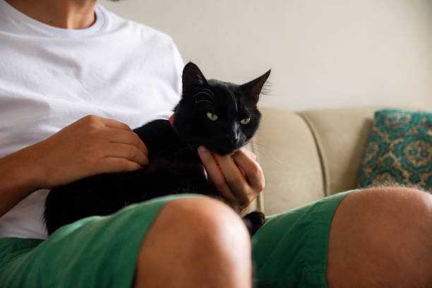 istock Man with his pet cat. 1304605072
