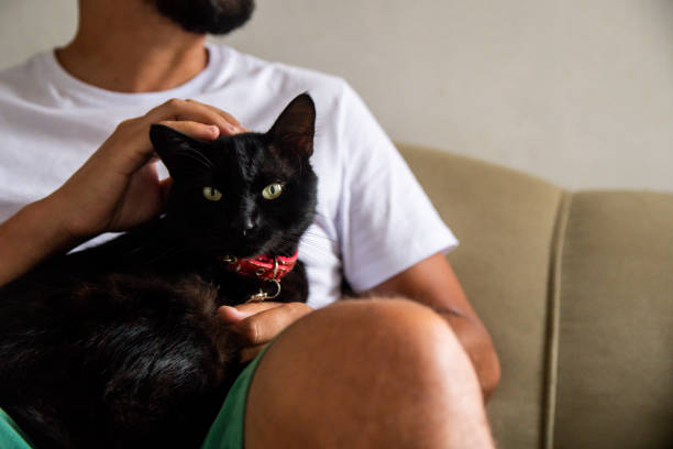 istock Man with his pet cat. 1304605089