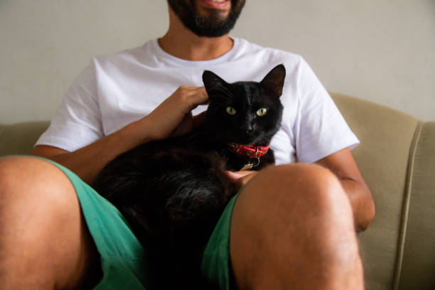 istock Man with his pet cat. 1304605092