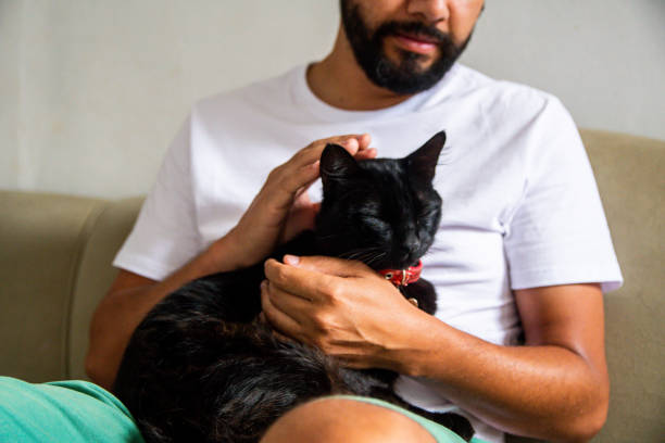 istock Man with his pet cat. 1304605097