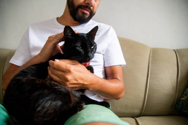 istock Man with his pet cat. 1304605124