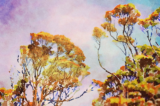 This is my Photographic Image of a Subtropical Rainforest in Watercolour Effect. Because sometimes you might want a more illustrative image for an organic look.