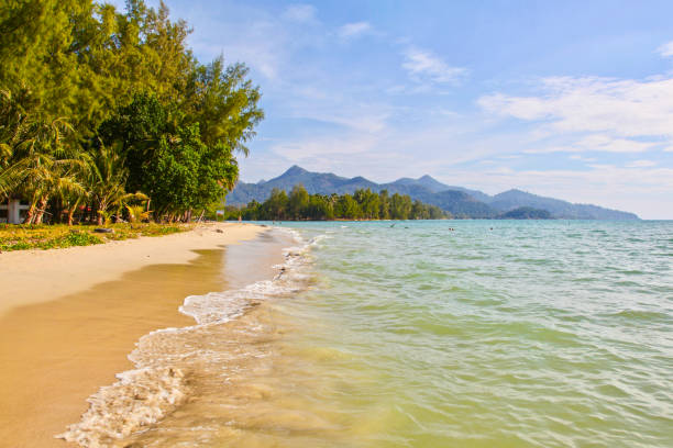 istock Beaches of Koh Chang 1304614020