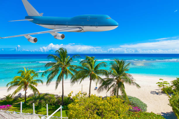 Passenger airplane flying above palm trees